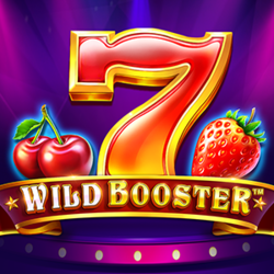 สูตรสล็อตเกม Wild Booster